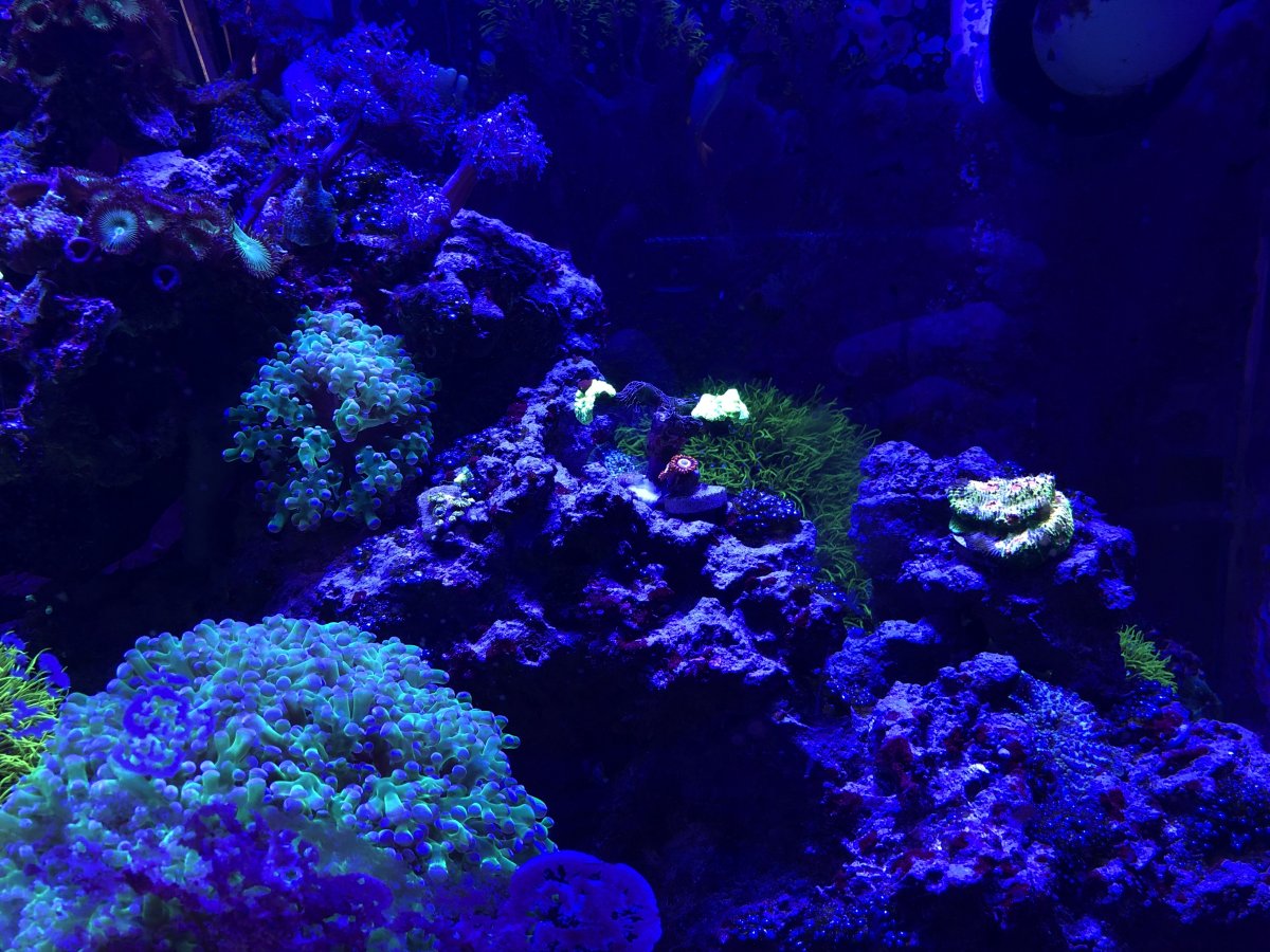 714B0243-BC59-405B-829B-C6D7B0D4ABF9.jpeg