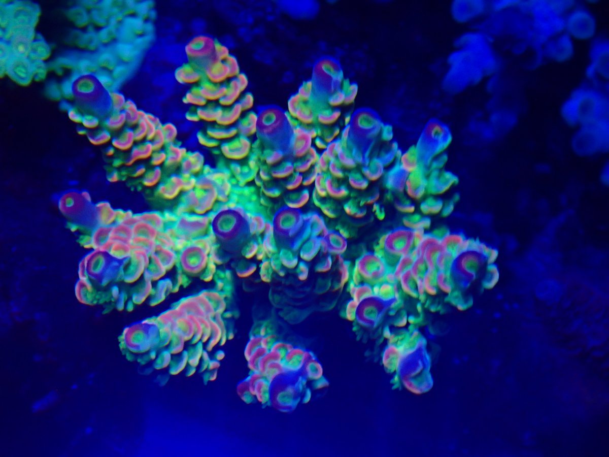 71D59AD0-A3E6-423D-877D-D83ACC0F0BBD.jpeg