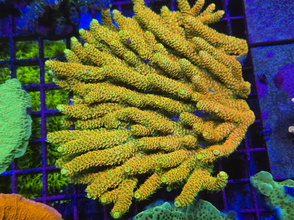 71f97cc8-e8b6-47cf-bd3d-31b4dc115e6c.jpg