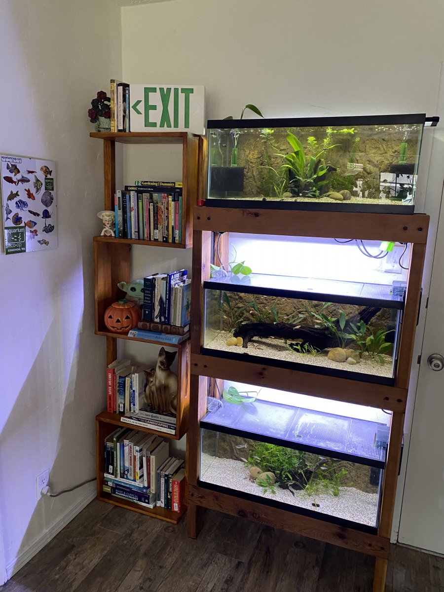20 gallon long fish tank sale
