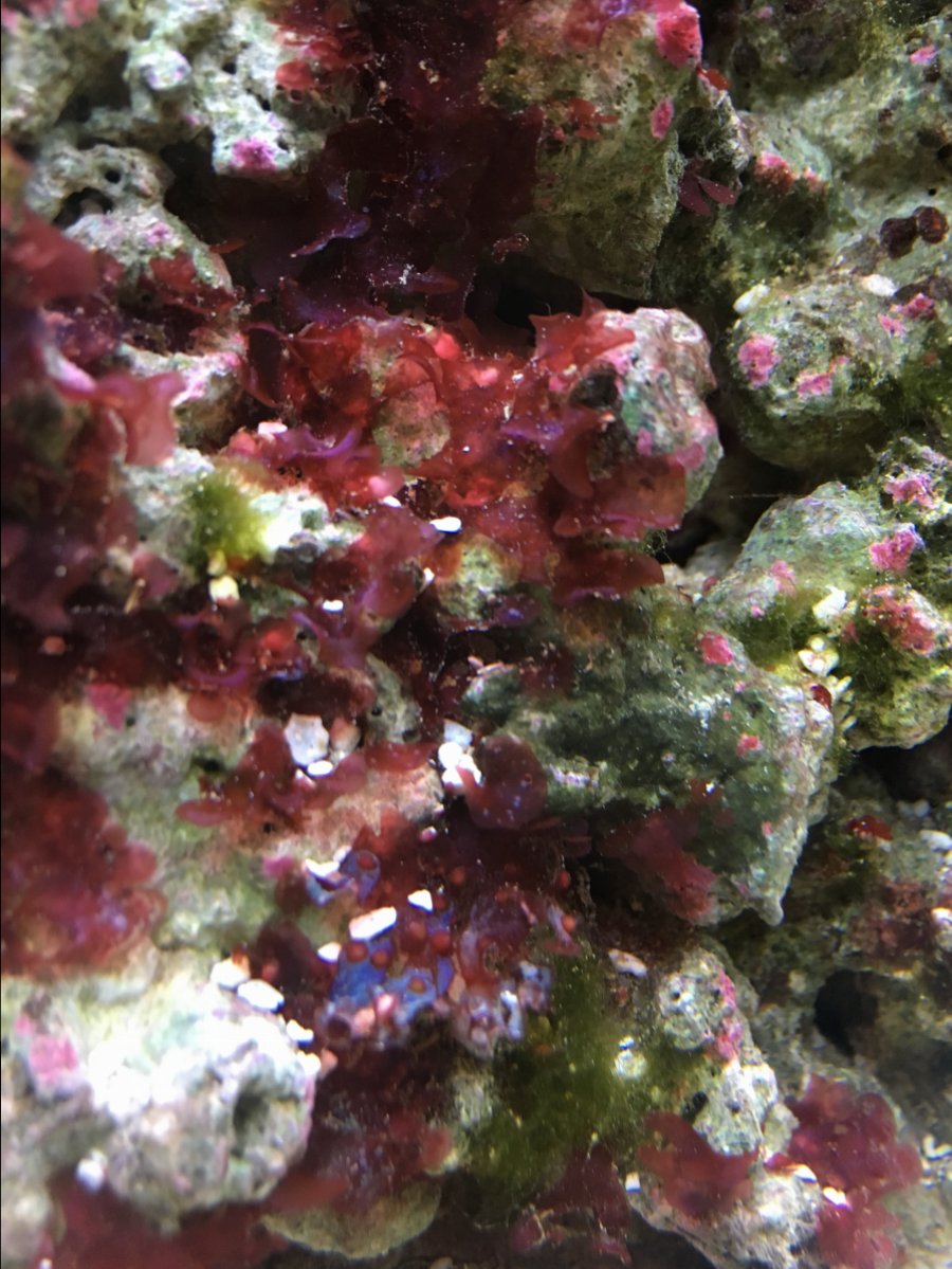 722FEEDD-0885-463D-9EE1-5C7147DE5633.jpeg