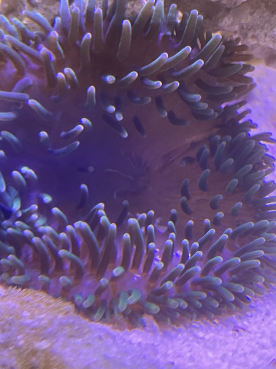 725C429A-F7A4-44F3-B7EC-EEC0B56F510B.jpeg