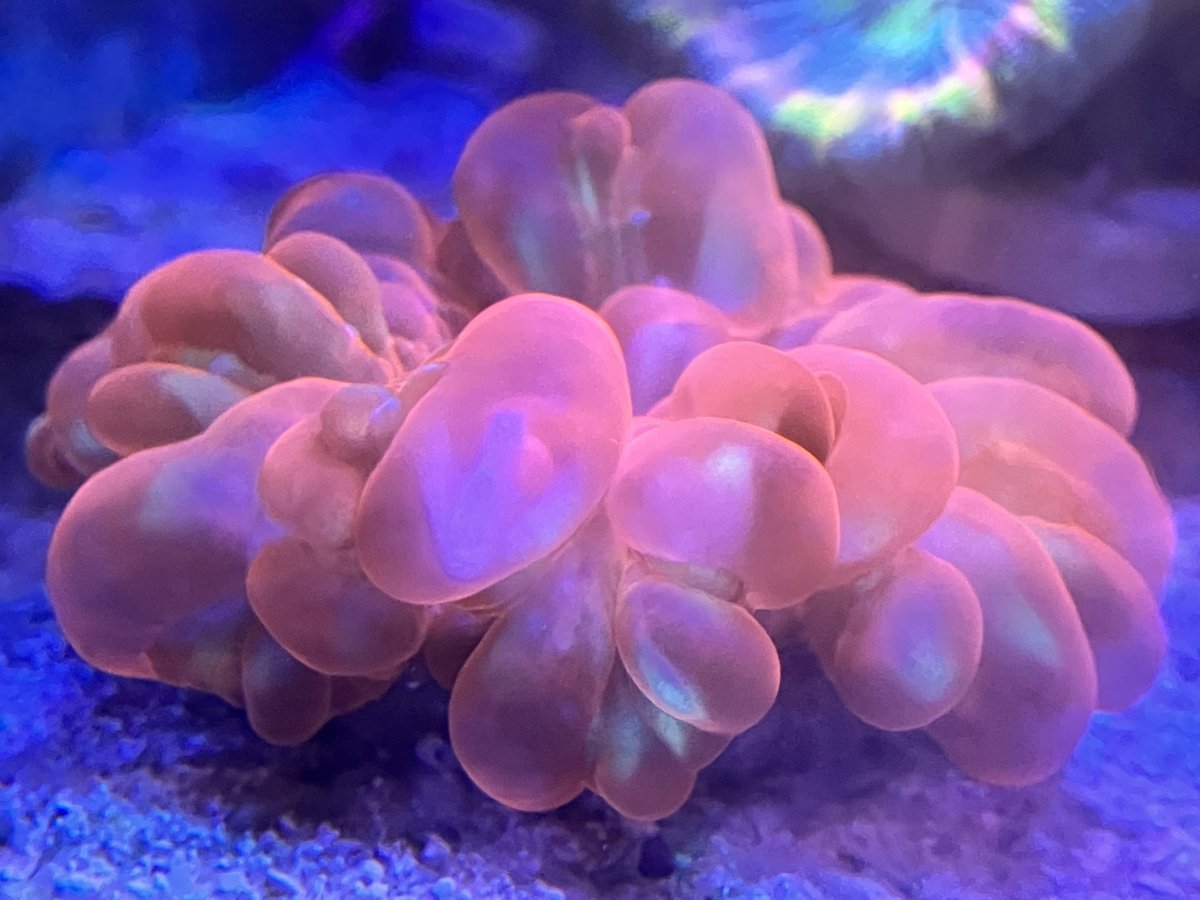 73592771-CEA2-45A6-BB04-BB86E3BA47C6.jpeg