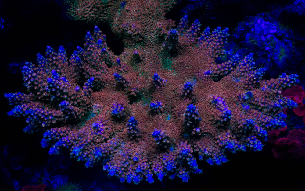 73F2FAA7-B4A7-4D7B-9F2E-DCC057C33F2E.jpeg