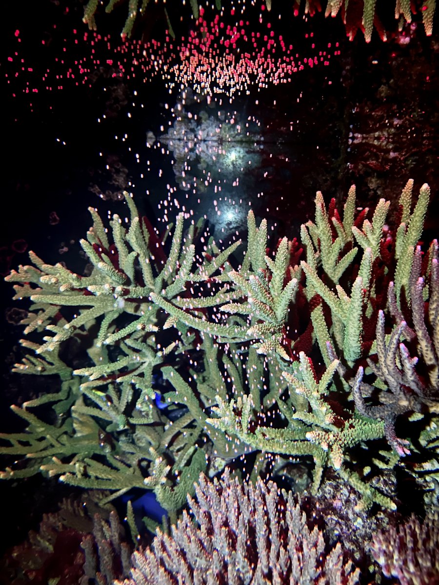 74A5AADD-838A-4DEC-965A-EABBA5D3C0A8.jpeg