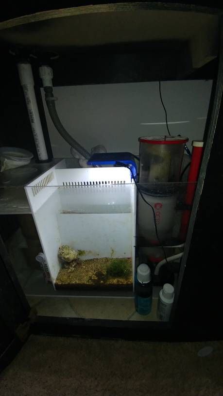 75 sump.jpeg