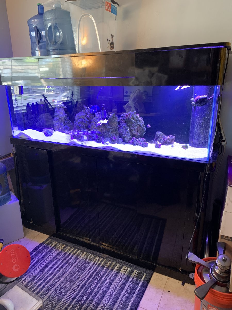 125 gallon aquarium for sales sale