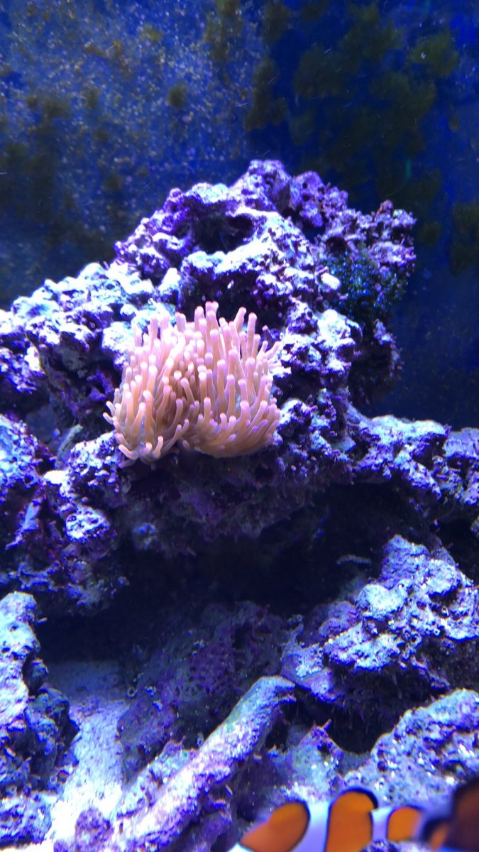 780D68B9-0465-4BC8-9658-4E5828B07119.jpeg