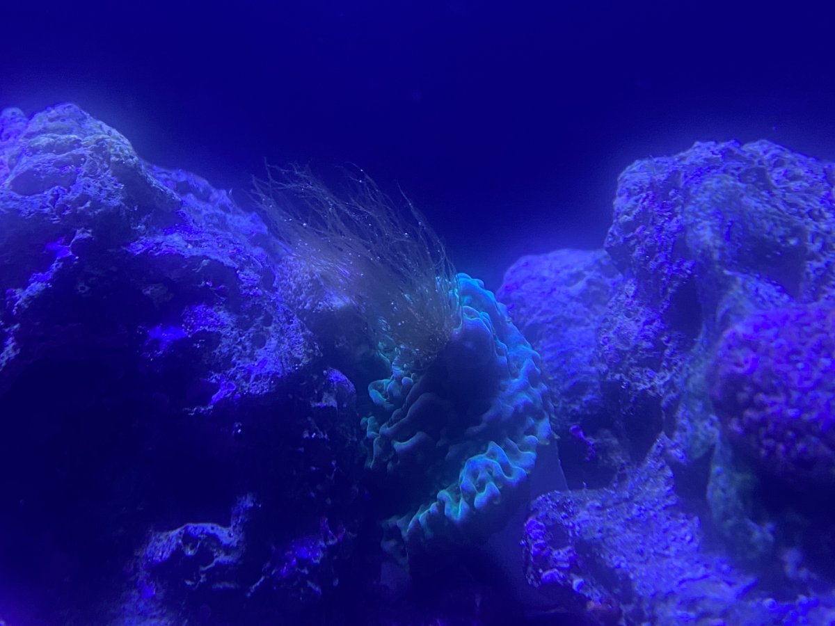 7815D512-0CFA-4A2F-AE56-072E41ABE435.jpeg