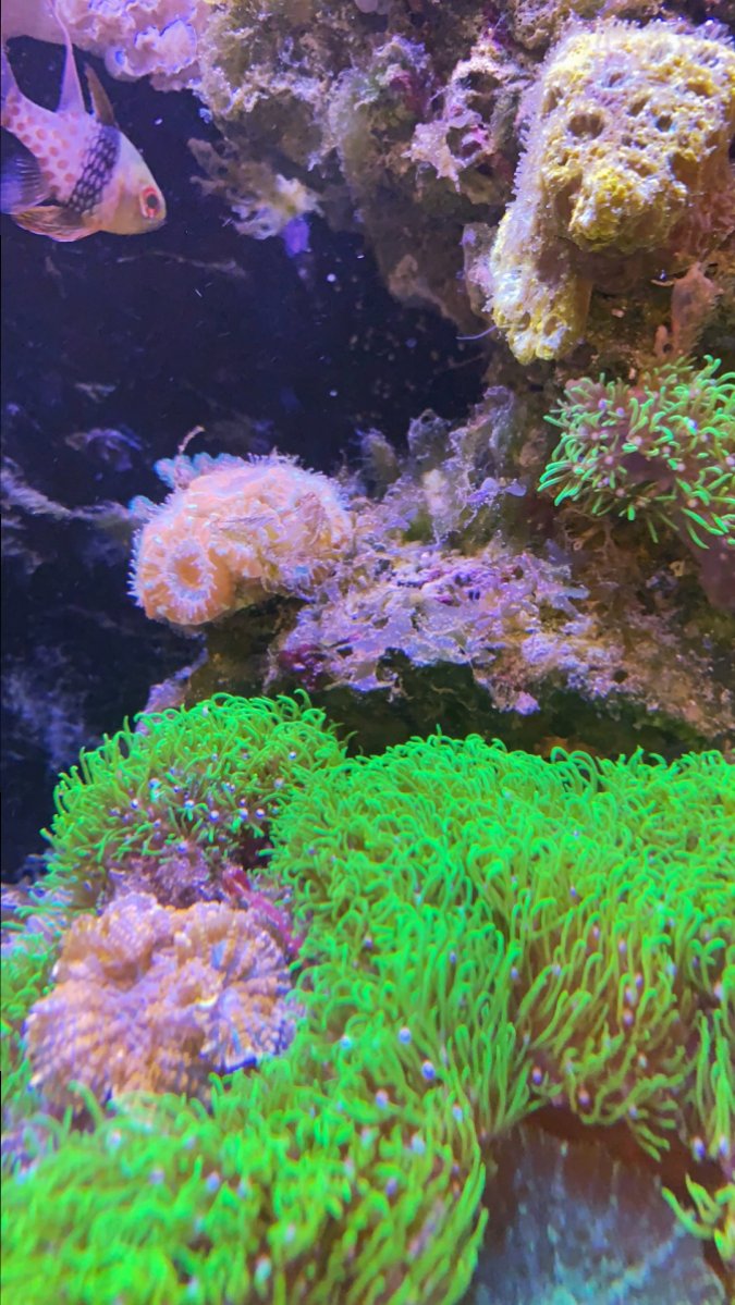 788A4E08-0521-4CB7-86D9-CE0B30D64CA6.jpeg