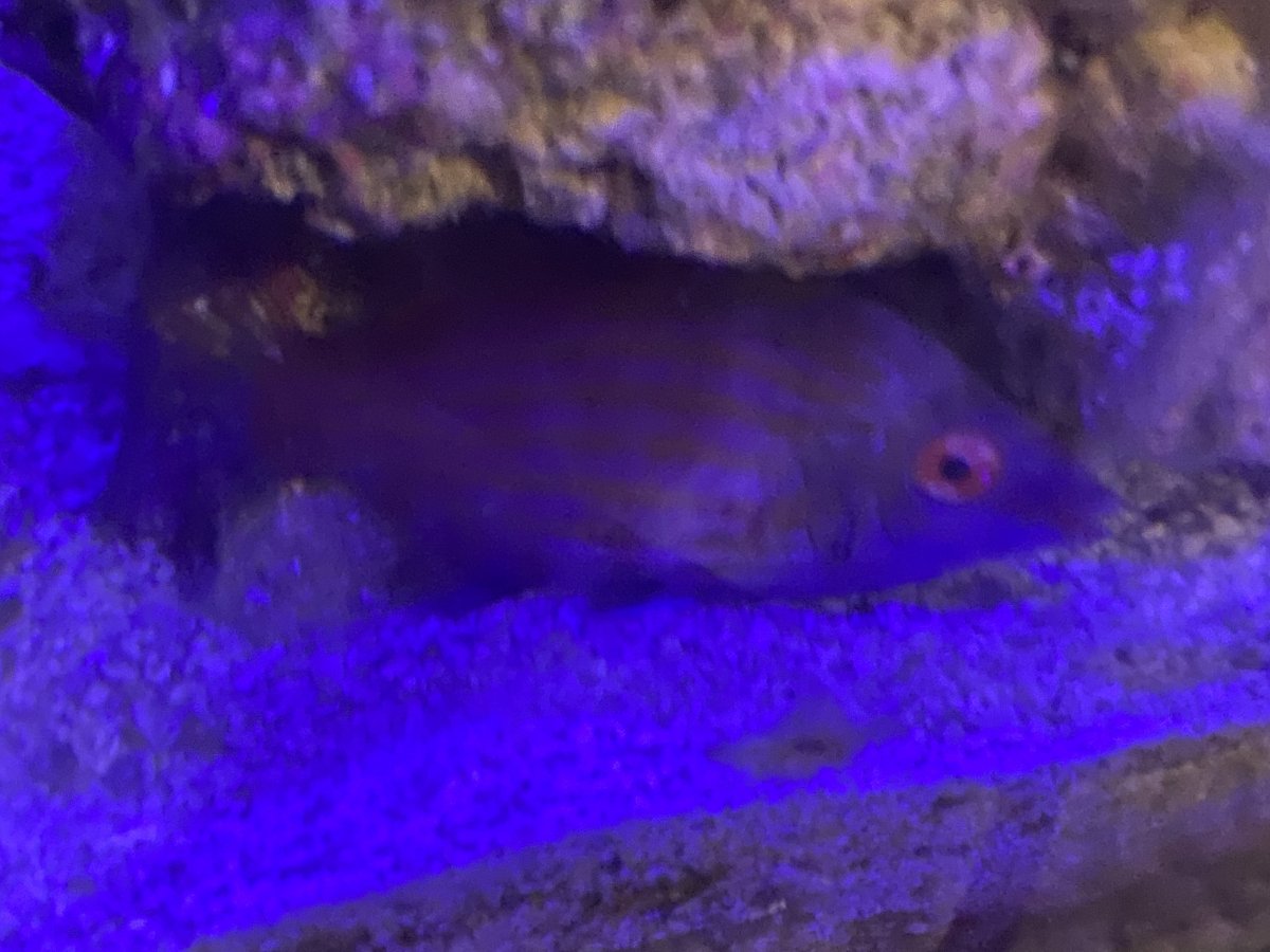 79183773-E176-4C4E-BCE7-D8DF731D0CD2.jpeg