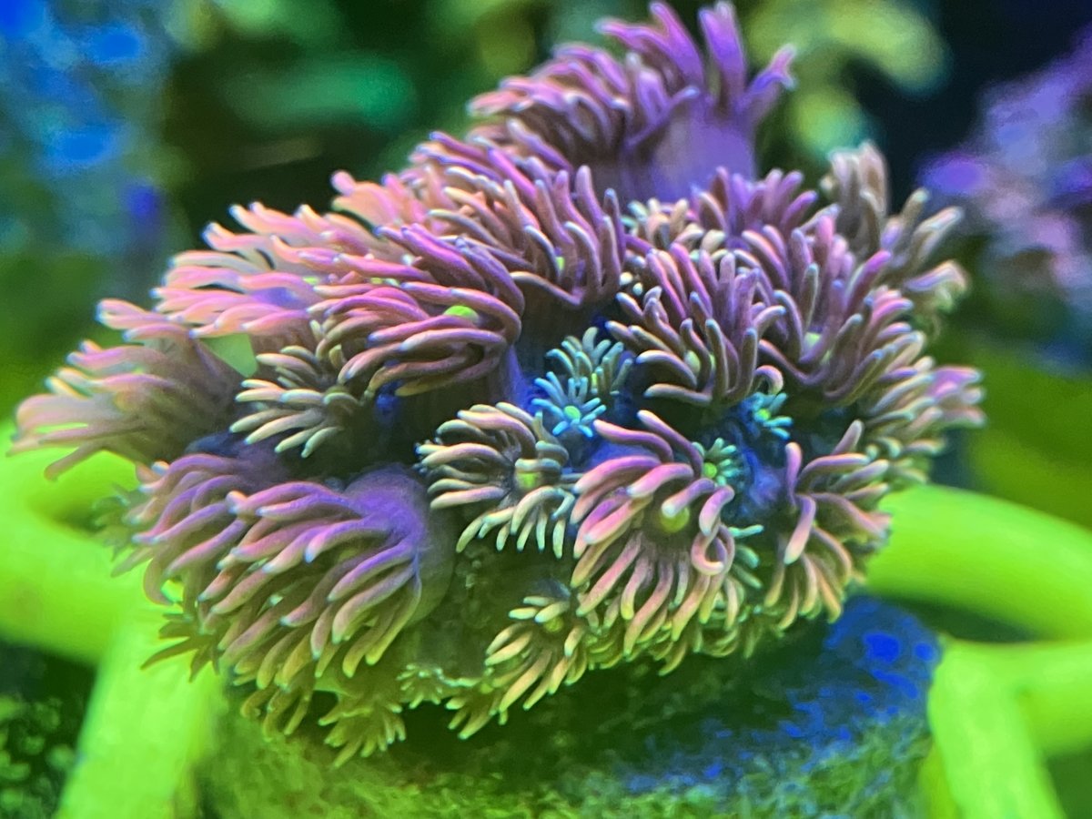 7966A6DC-F396-46E2-98D6-2B20E8E72CF7.jpeg