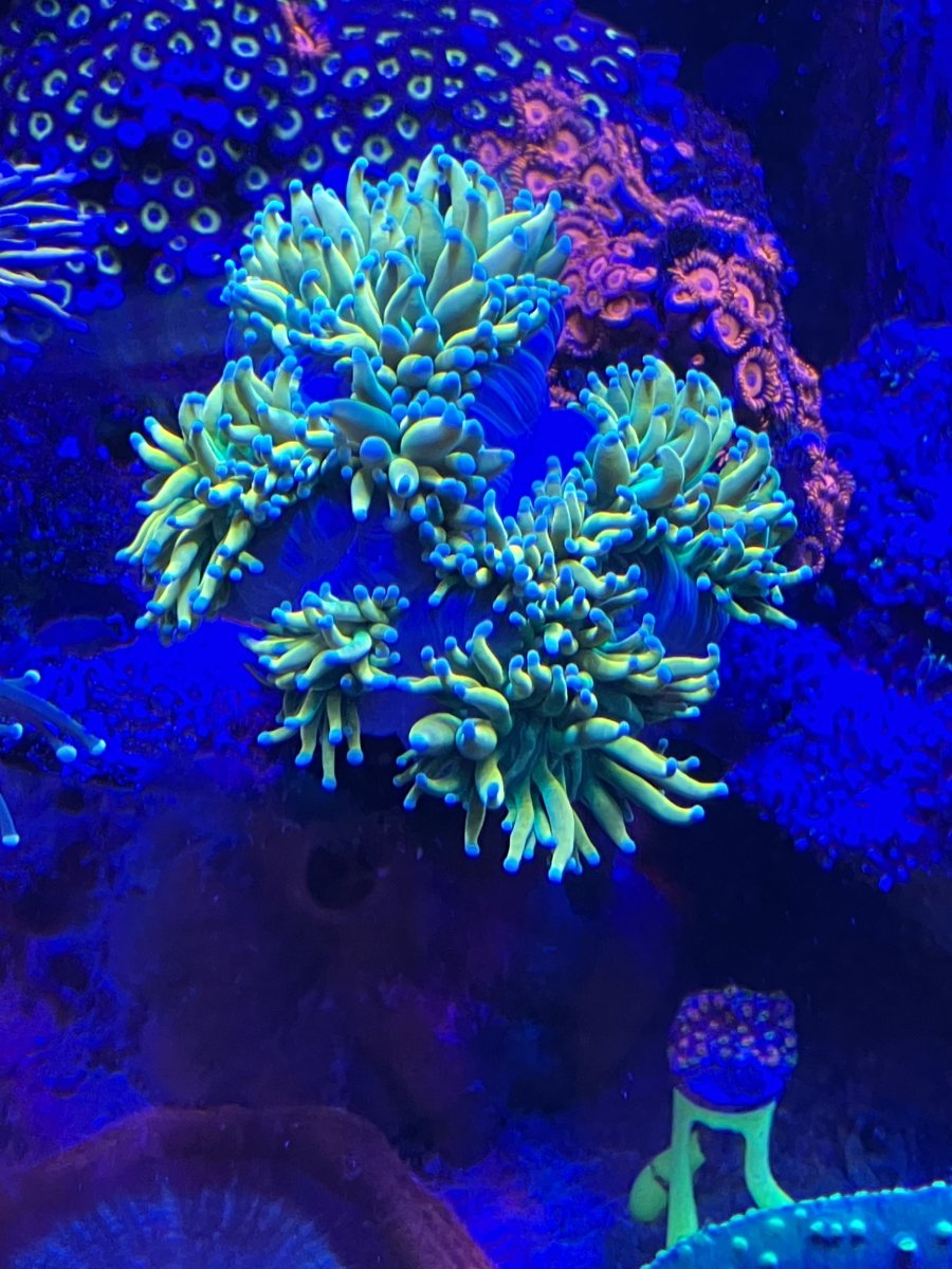 79DF4832-B0D6-4231-92CC-7700D4FEB3C7.jpeg