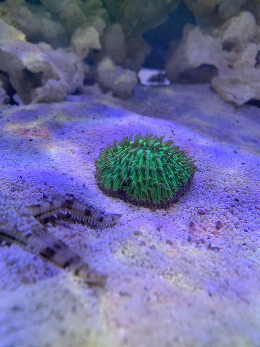 7AA8EF66-C245-4D6E-91CE-E490C0A01C34.jpeg