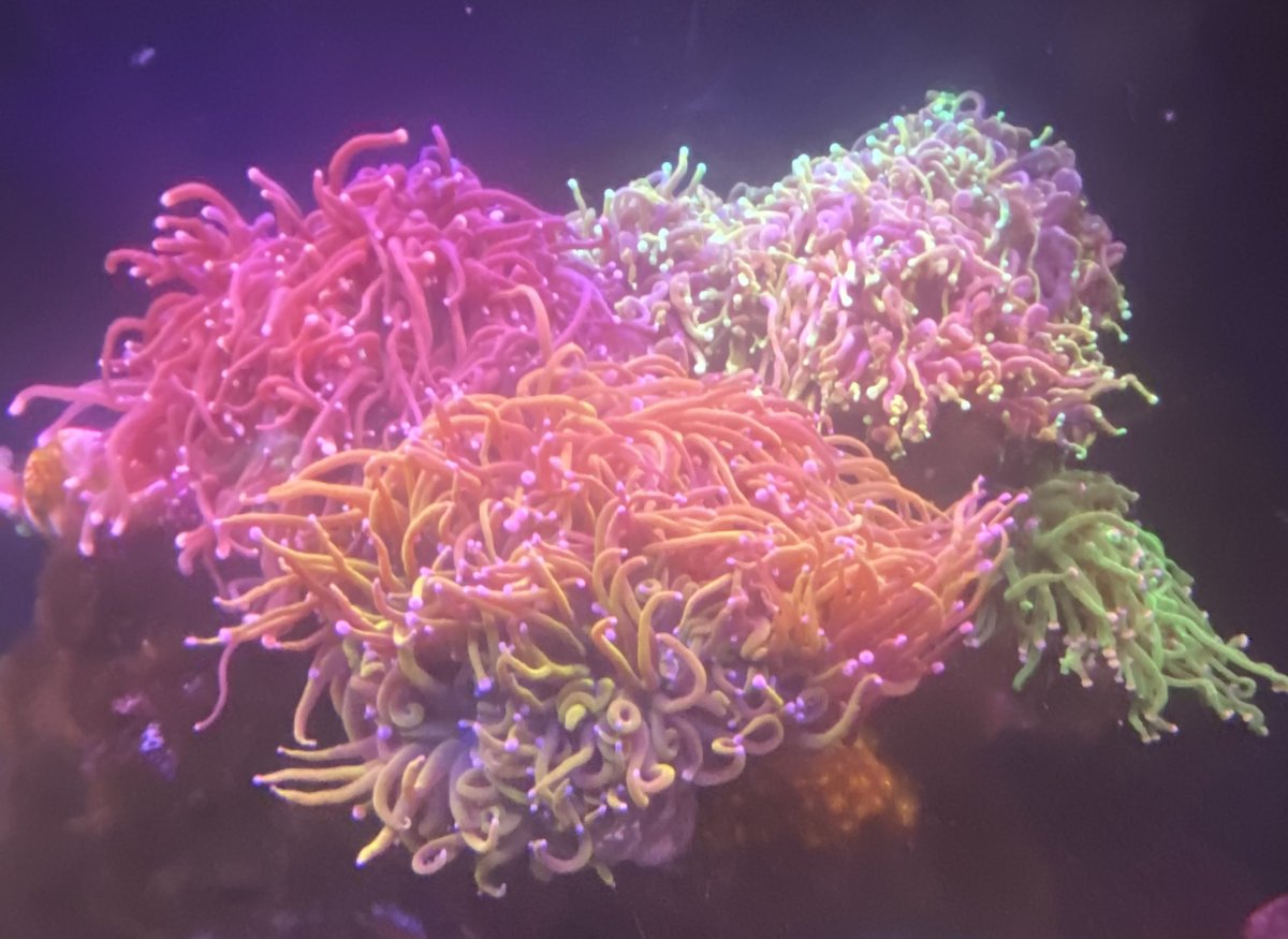 7BB3650D-C013-4C81-BBB6-800D45C04DE1.jpeg