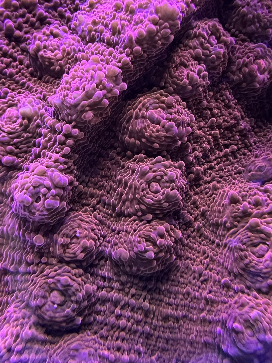 7C6338E8-5BB0-46C4-9FD3-DACB0C7A7BB3.jpeg