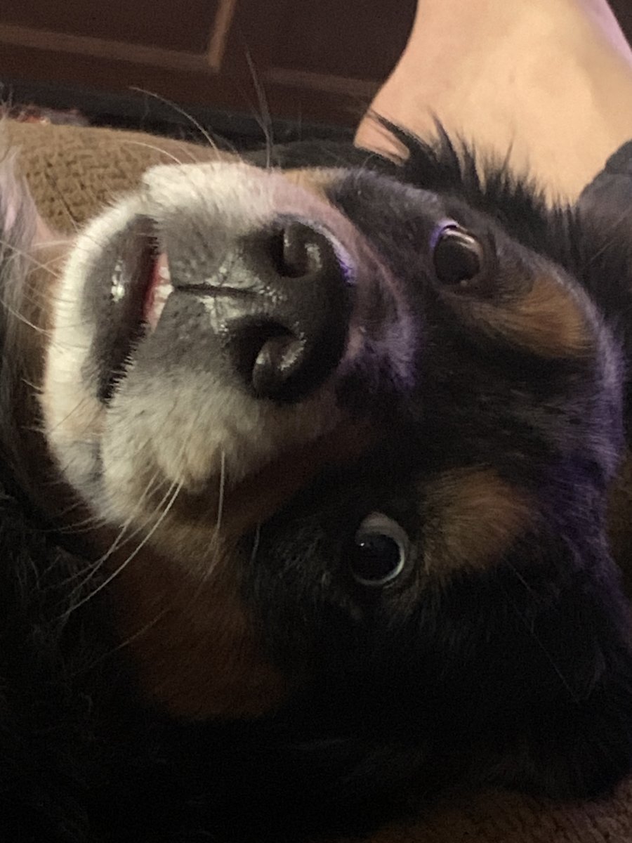 7CB0F201-6439-4698-9F00-2B34A0D5CE3F.jpeg