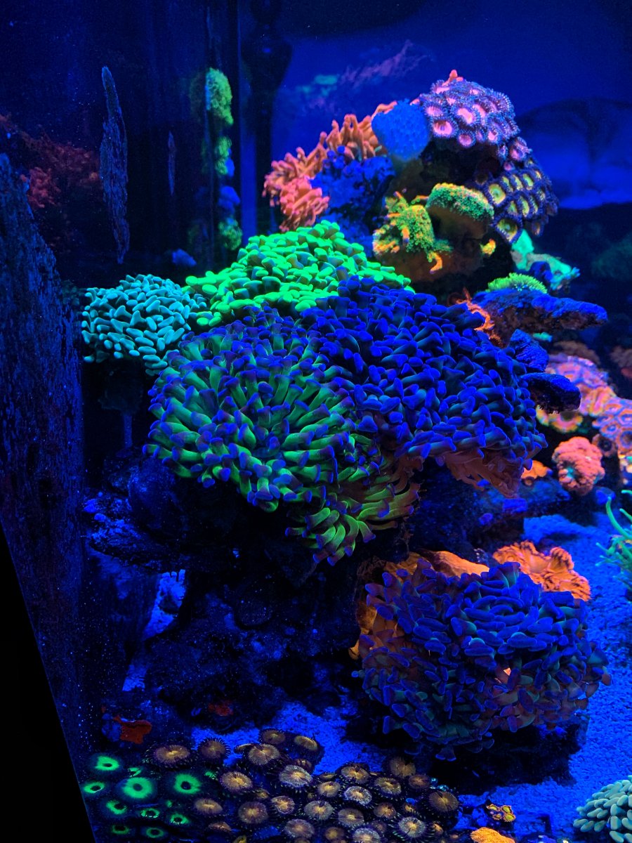 7DFCD160-0777-4D41-AE42-78B73E332B06.jpeg