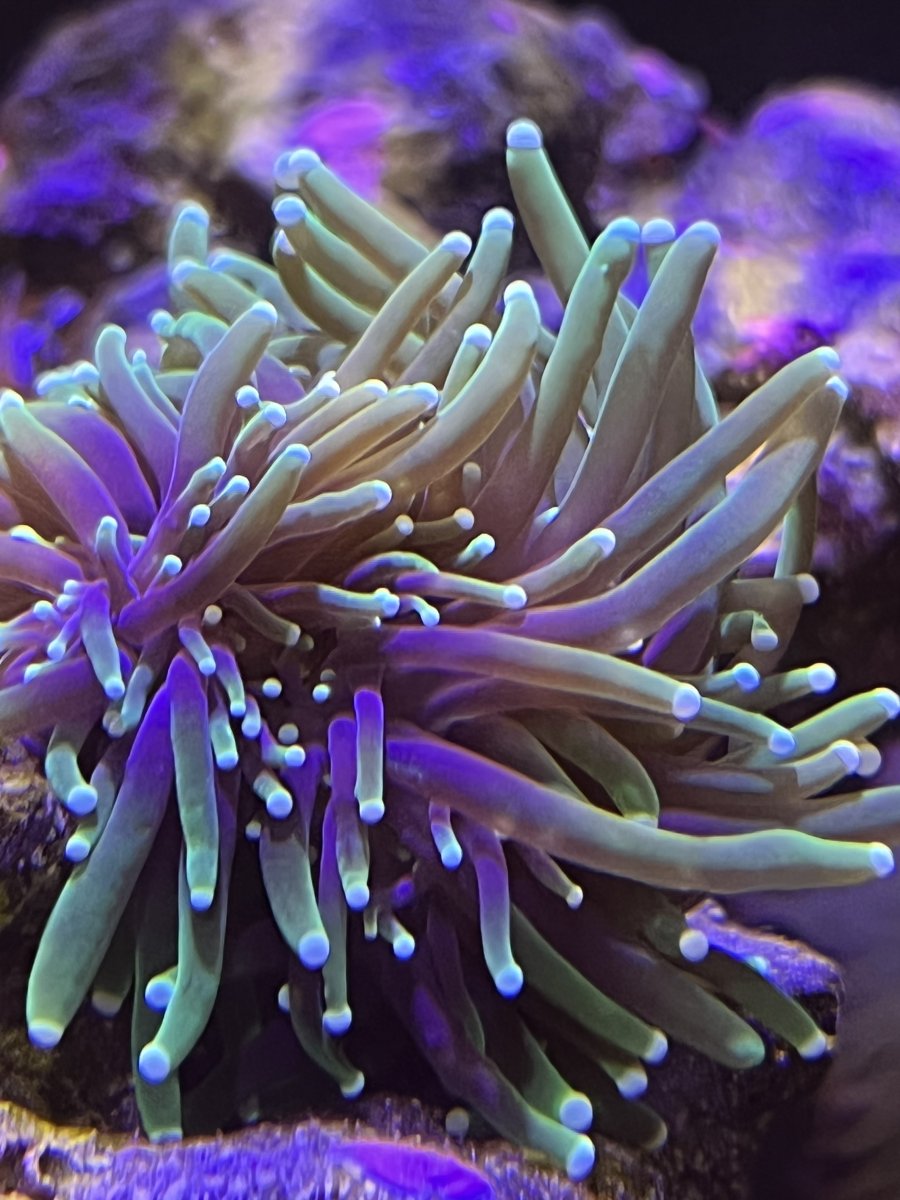7E20A0DF-5D87-483D-AEA7-27F3E1212AAE.jpeg