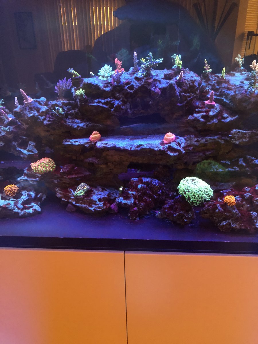7E217648-56DF-48A0-979C-E010E69602CE.jpeg