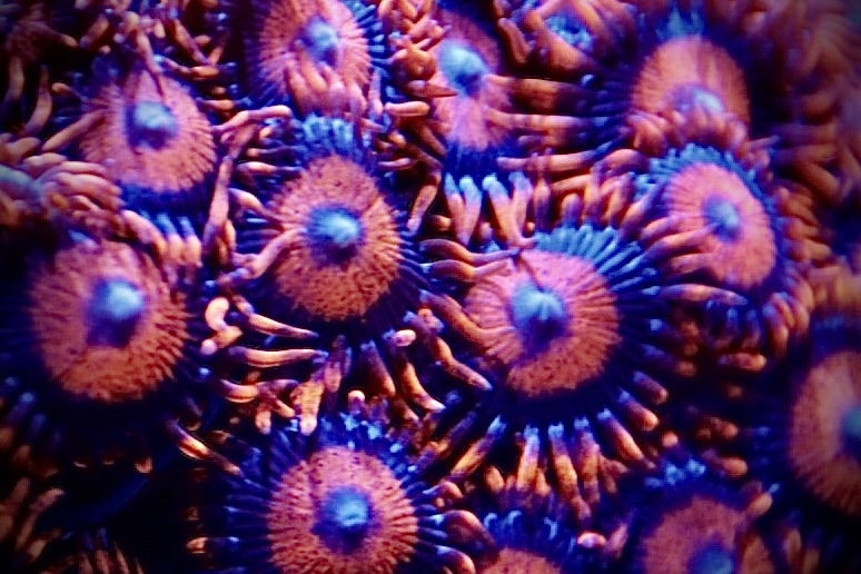 7E655F9A-773B-4E84-81DC-AE5E2FE6A9AC.jpeg