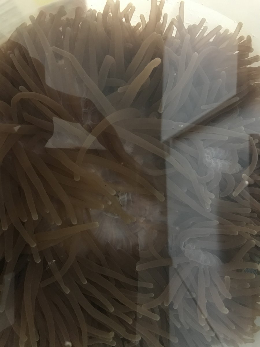 7E85C733-98E0-4C21-B818-4E87E5FE0BD4.jpeg