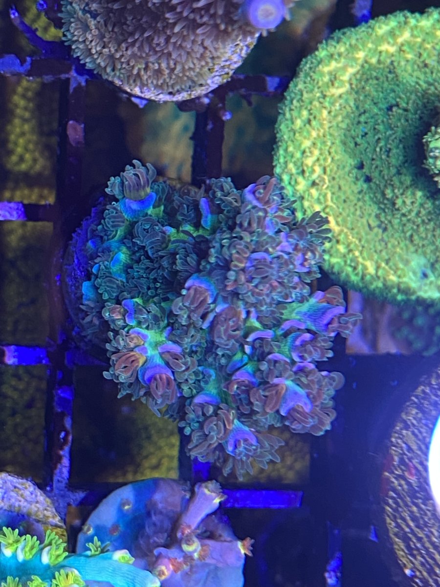 7F20B08F-37F0-4682-AE4D-30280B65604F.jpeg