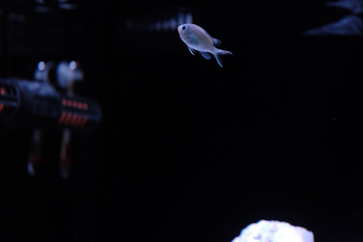7F5B9258-1DD2-4235-A25D-DD517580EC74.jpeg