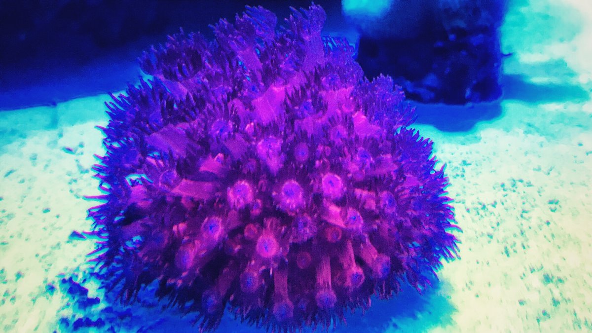 8063B36D-AA22-4C0E-BC1F-926C1C4D2005.jpeg