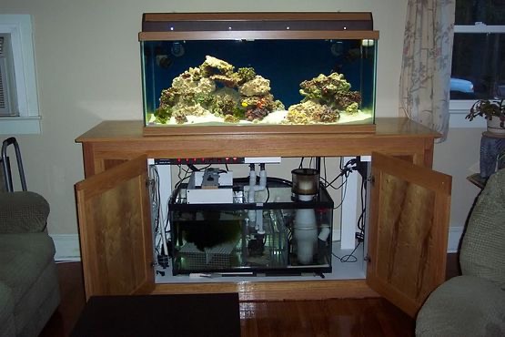 Sump Design | Reef2Reef