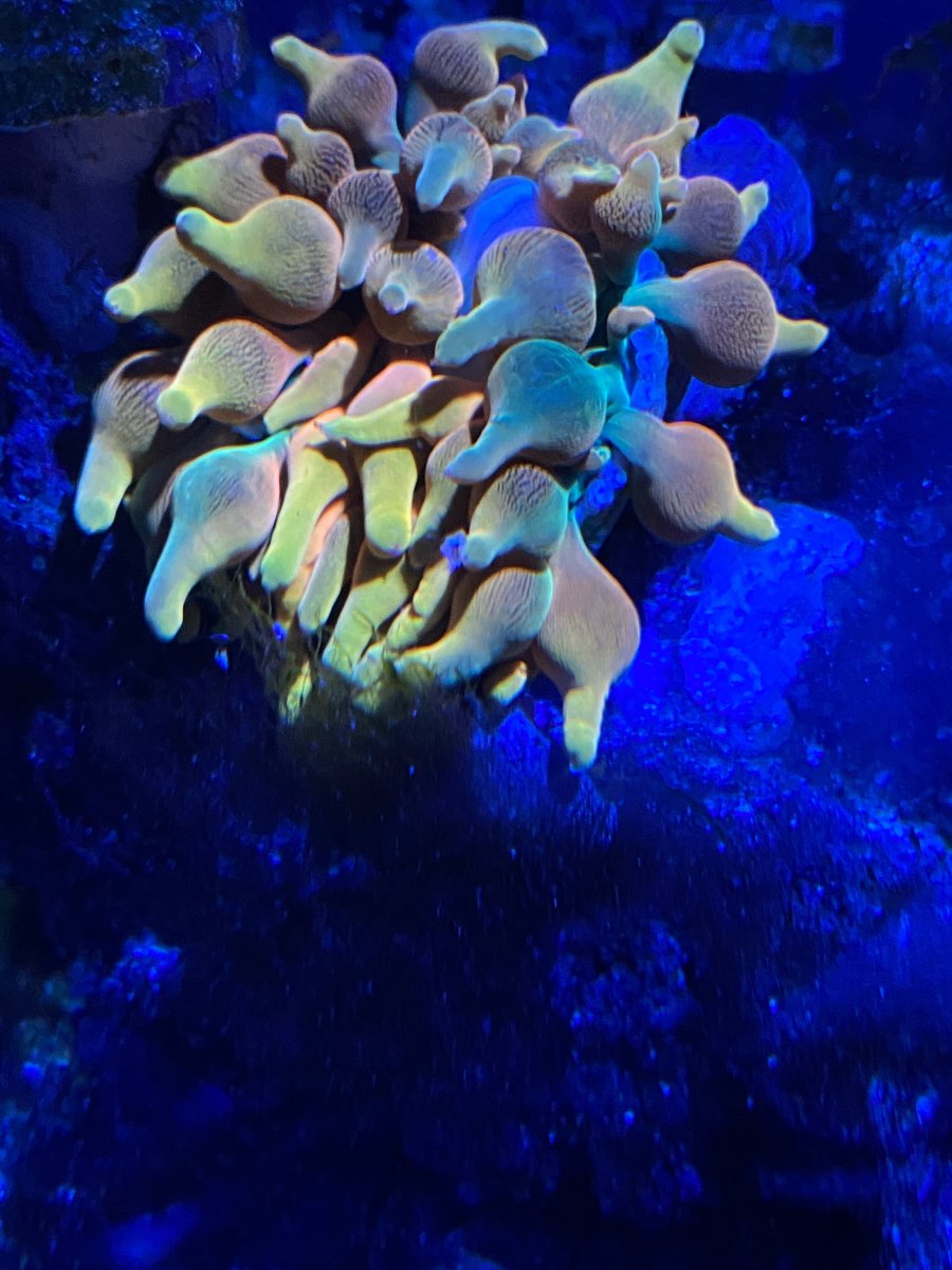81269ECE-F338-4F2D-9598-E6141FD035D2.jpeg