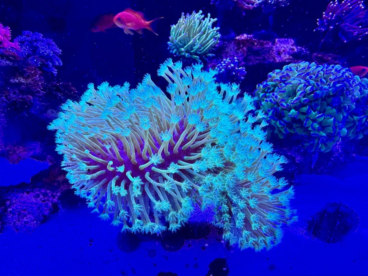 818fbd69-58bb-4c2a-9829-67e3fe37c4b3.jpeg