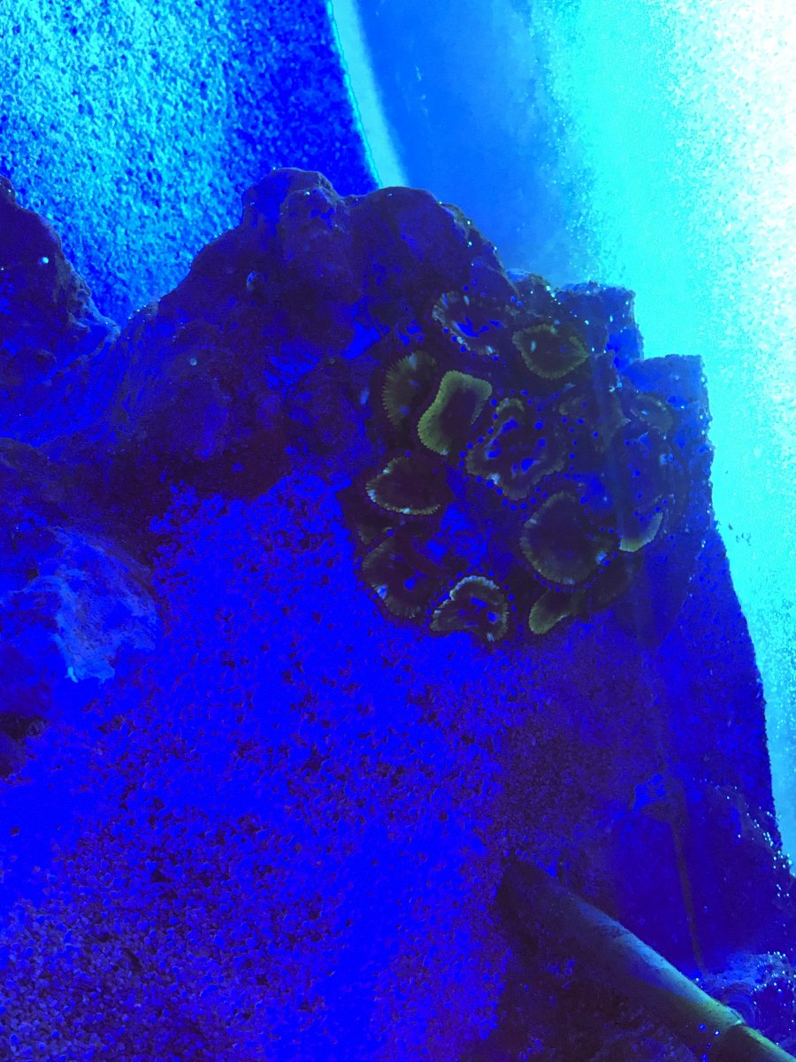 830B6083-844D-4FC9-B8AD-8A44E6656020.jpeg