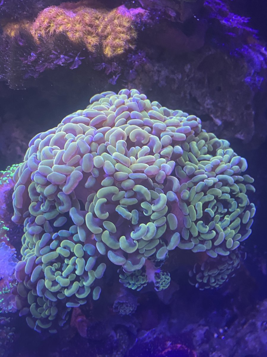 834D77AD-CA01-41E2-B75A-A5D05773AF17.jpeg