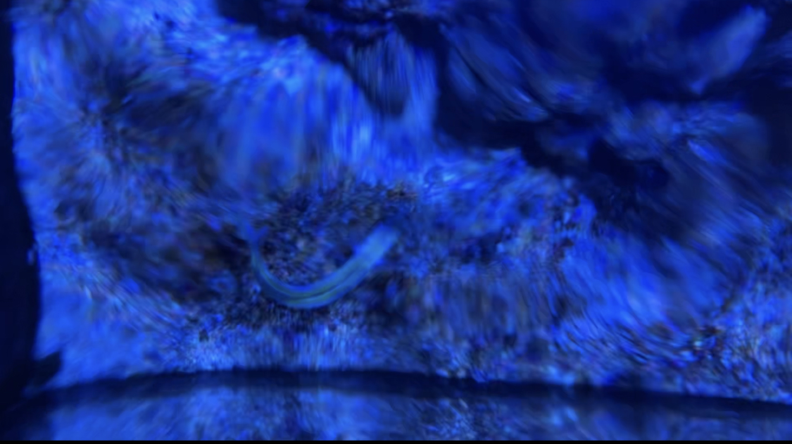 83802BD6-7073-4524-98F5-ECE0ACF06E1C.jpeg