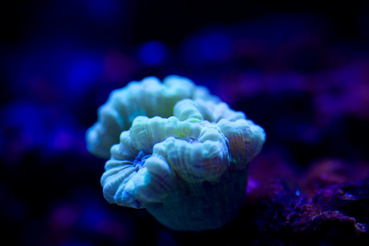 83E4FE94-7051-4C15-906D-EC87ACE312EC.jpeg