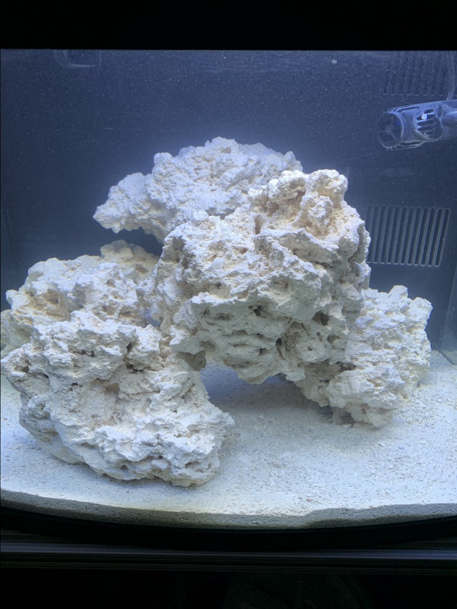 NEW 32g biocube Media rack ADVICE NEEDED | REEF2REEF Saltwater and Reef ...