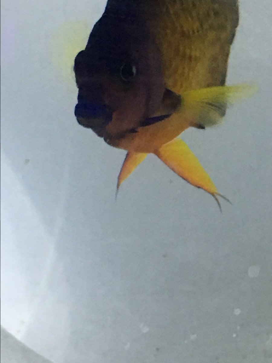 846204CD-63B2-42FA-A59B-C4AACF34F6D1.jpeg