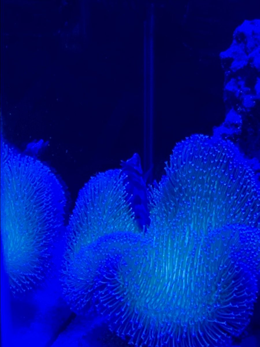 8463D8B2-BB80-4214-9BA8-EBB9CD2EF6DE.jpeg