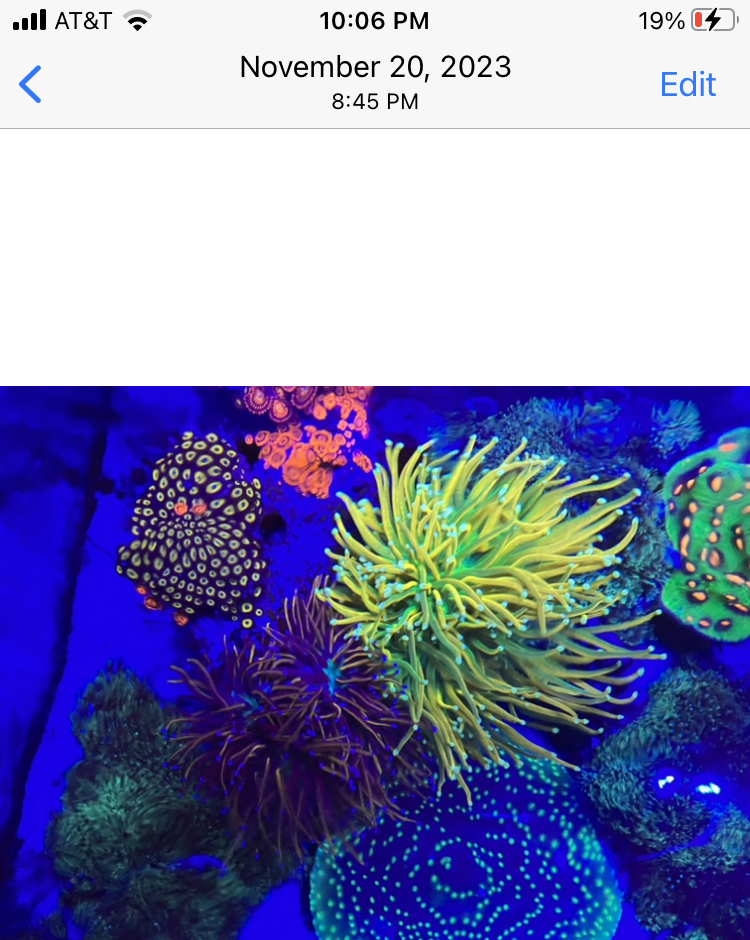 8481E20C-D7D4-4F02-933E-F093B4244EA2.jpeg