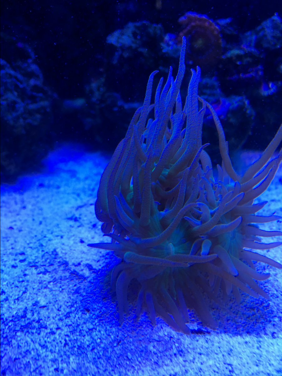 851FFF6B-643E-4B47-ABBD-C012F0124494.jpeg