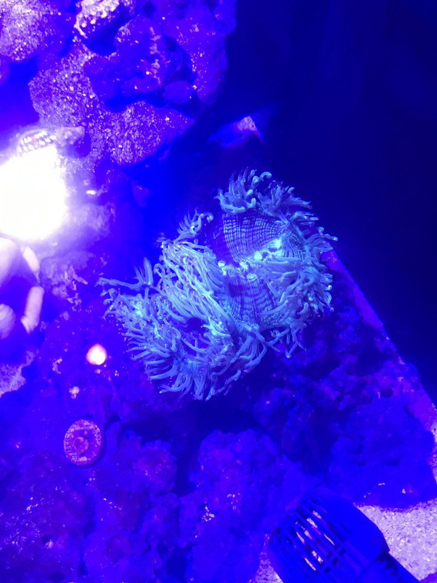 86DEC653-B2BB-4F85-962D-792DB4D0E7C1.jpeg