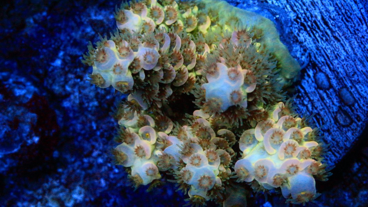87648CA8-A72D-40A0-A00C-C5D19093EE92.jpeg