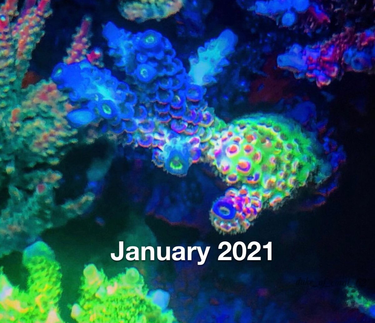 88BA42F3-E961-4CC0-98AC-3EDA8488580B.jpeg
