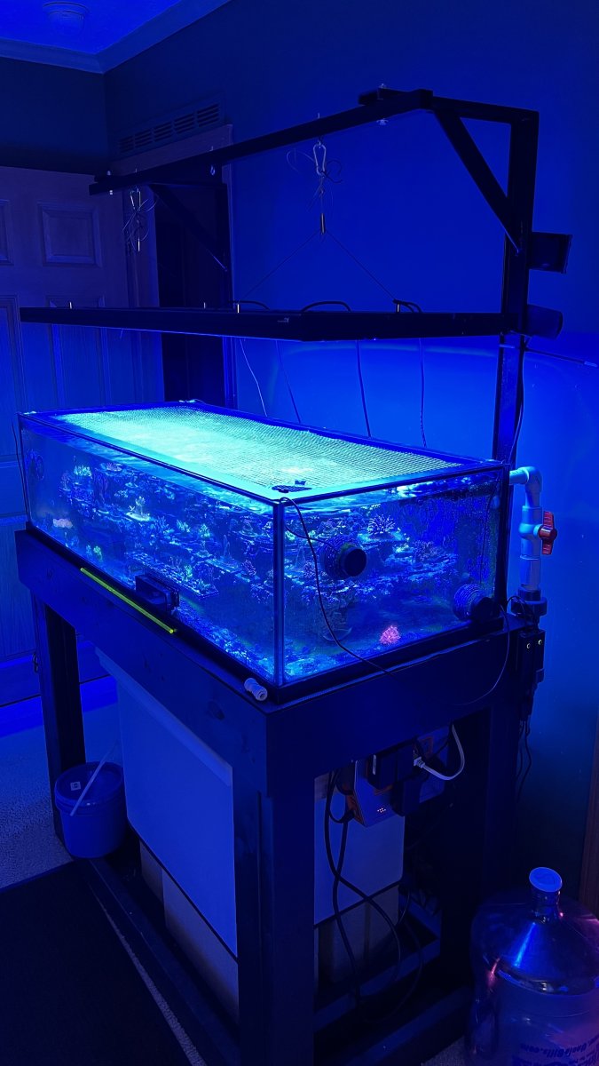 Ohio - Aquariums - Miscellaneous - SOLD - Deep Blue Rimless 50 gal Frag ...