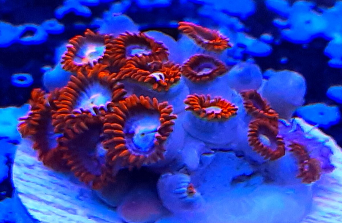 89CE7407-5CBC-4130-9327-E7D3CE16508A.jpeg