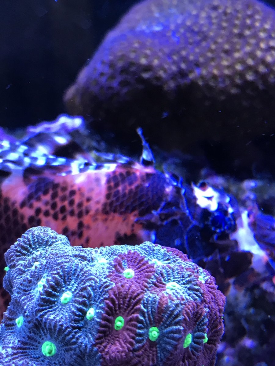 8A4EE17F-3F79-4952-BBA0-A4F09DAE0790.jpeg