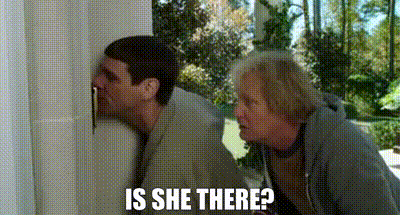 8ae5f757-02ef-450a-9c9e-59587b49d72c_text.gif