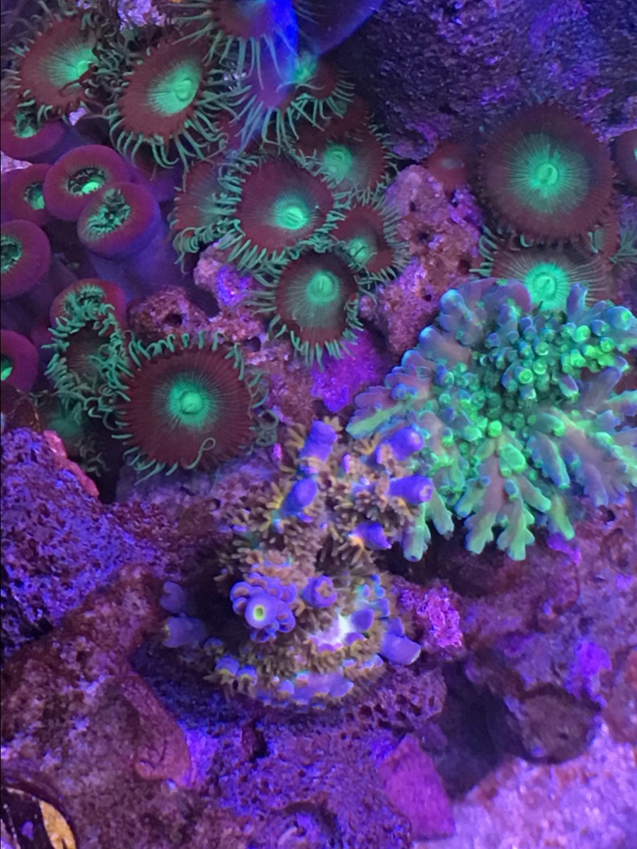 8B8839A3-76F8-4065-9583-B63F08D8053A.jpeg