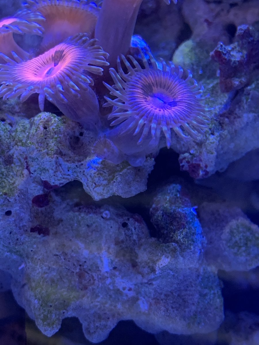 8D0431CE-6750-460F-9D20-B8665B2FF511.jpeg